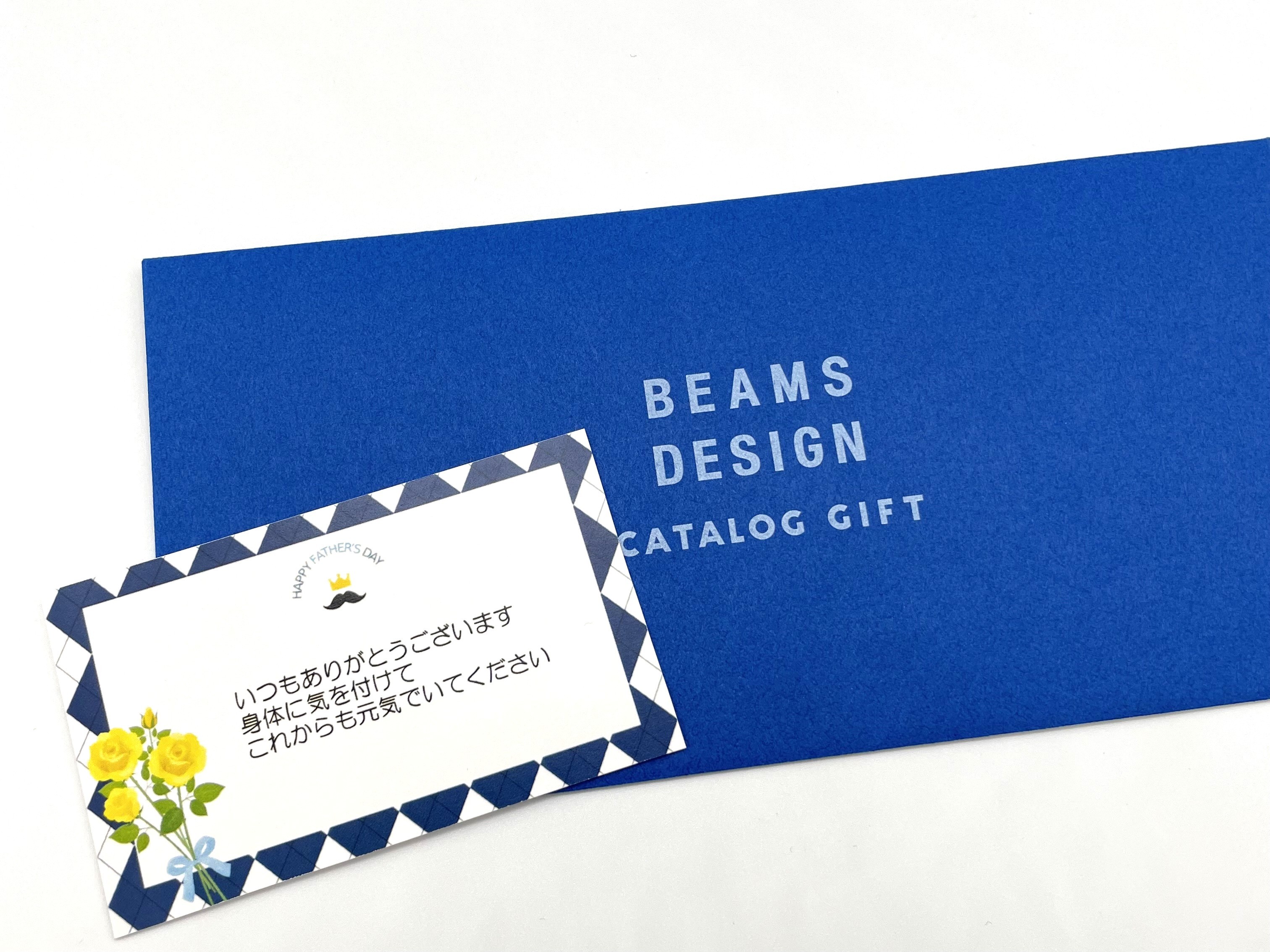 BEAMS DESIGN CATALOG GIFT e-book BROWN(ブラウン)コース