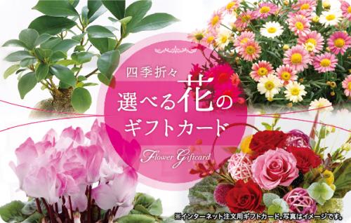 贈答用ギフト・商品券のガリレオ / 選べる花のギフトカード