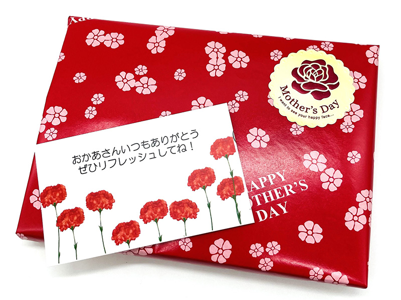 おそうじ美人イメージ