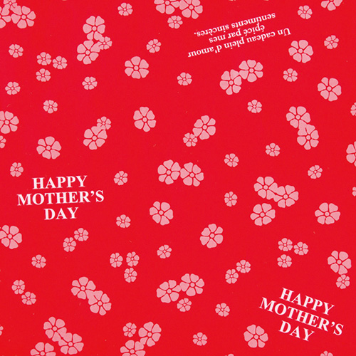 包装紙イメージ