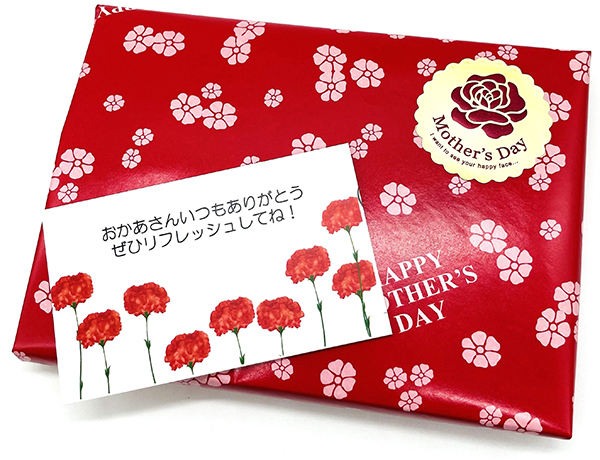 【家事代行ギフト】 おそうじ美人