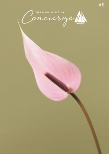 総合カタログギフト　ハートフルセレクション