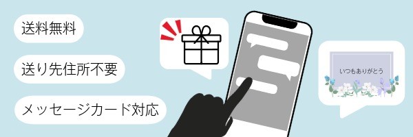 送料無料 送り先住所不要 メッセージカード対応
