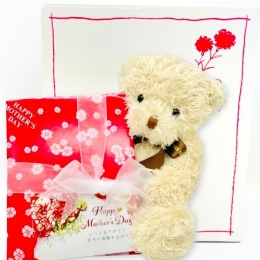 母の日ぬいぐるみラッピング　くま(ゆうパック限定)