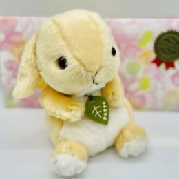 【ぬいぐるみギフト】potteうさぎ(ロップイヤー)(ゆうパック配送限定)