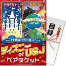 【パネもく!】JTB旅行券で購入!ディズニー or USJ ペアチケット【目録パネル】