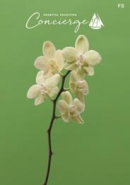 【総合カタログギフト】ハートフルセレクション　FSコース