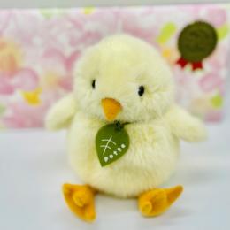 【ぬいぐるみギフト】potteひよこ(ゆうパック配送限定)