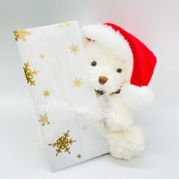 クリスマステディラッピング(ゆうパック限定)