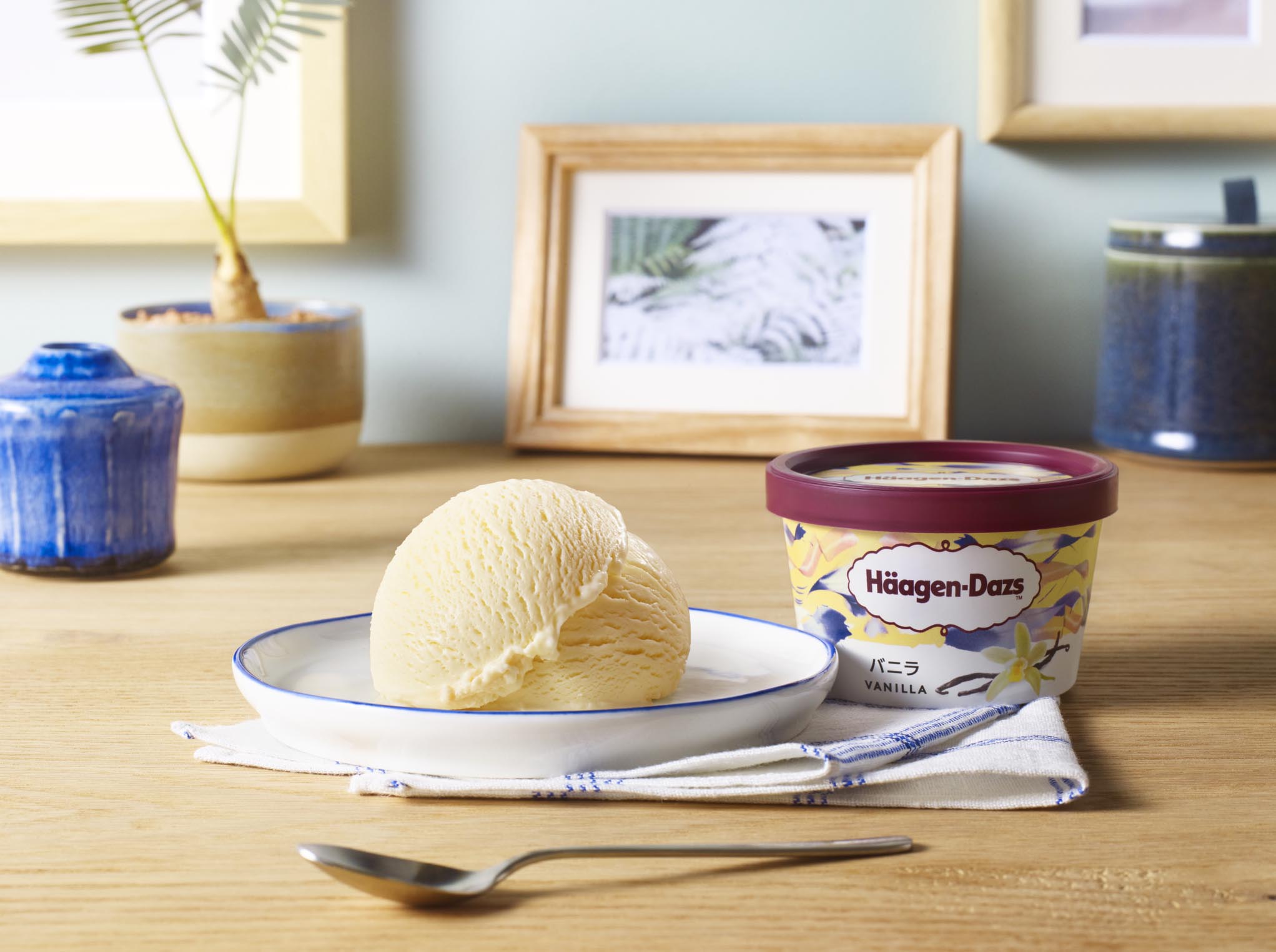 新券 ハーゲンダッツ　ギフト券　10枚セット 90枚まで対応可① ハーゲンダッツギフト券 10枚 ギフトボックス入り